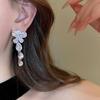 Silver Needle Zircon Butterfly Tassel Earrings & Necklace Set - Elegant Fashion Clavicle Chain for Weddings