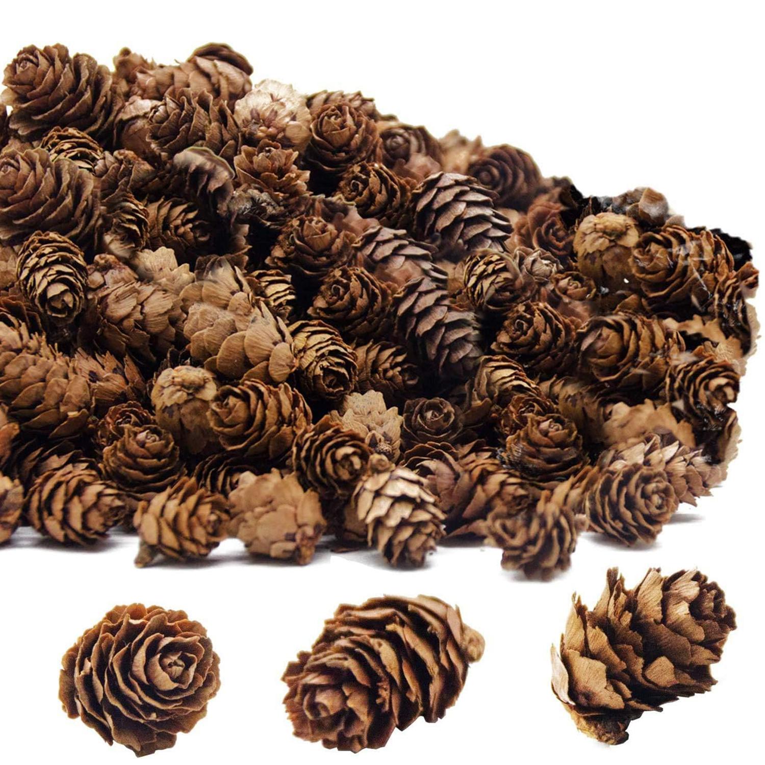 50Pcs Artificial Pinecone Home Room Wedding Christmas Tree Halloween Yard Garden Decoration DIY Bride Wreath Hanging Accessories 50 pcs кофейный