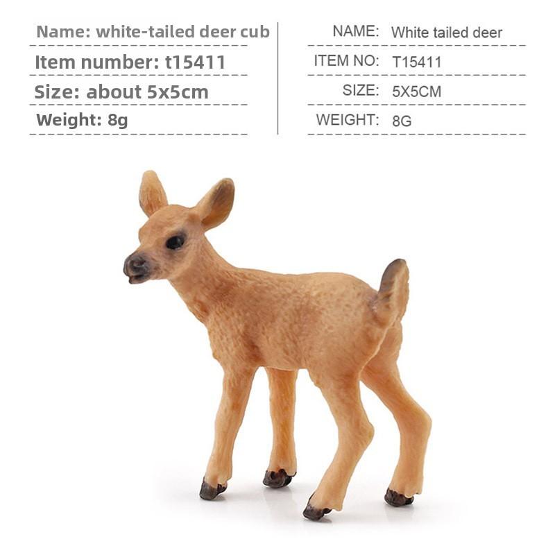 Squirrel Animal Model Set With Pvc Realistic Figures For Educational Play And Collecting Enthusiasts