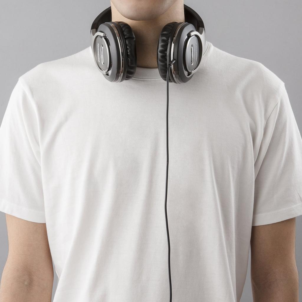 Panasonic Closed-Back Headphones, Silver, RP-HT560