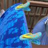 Beach Towel Clips for Patio and Pool Include Flamingo Dolphin Sunglasses Slipper