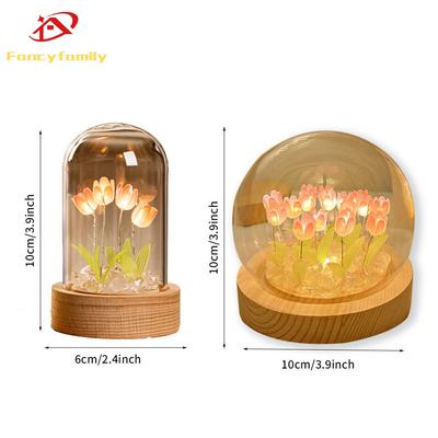 Lâmpadas LED – Luzes LED noturnas