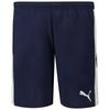 Puma Teamliga Shorts