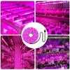LED Pflanzenlampe Vollspektrum 5V USB Pflanzenlichtleiste LED Phyto Lampen für Pflanzen Gewächshaus Hydroponische Wachstumslampe 1M 2M 3M