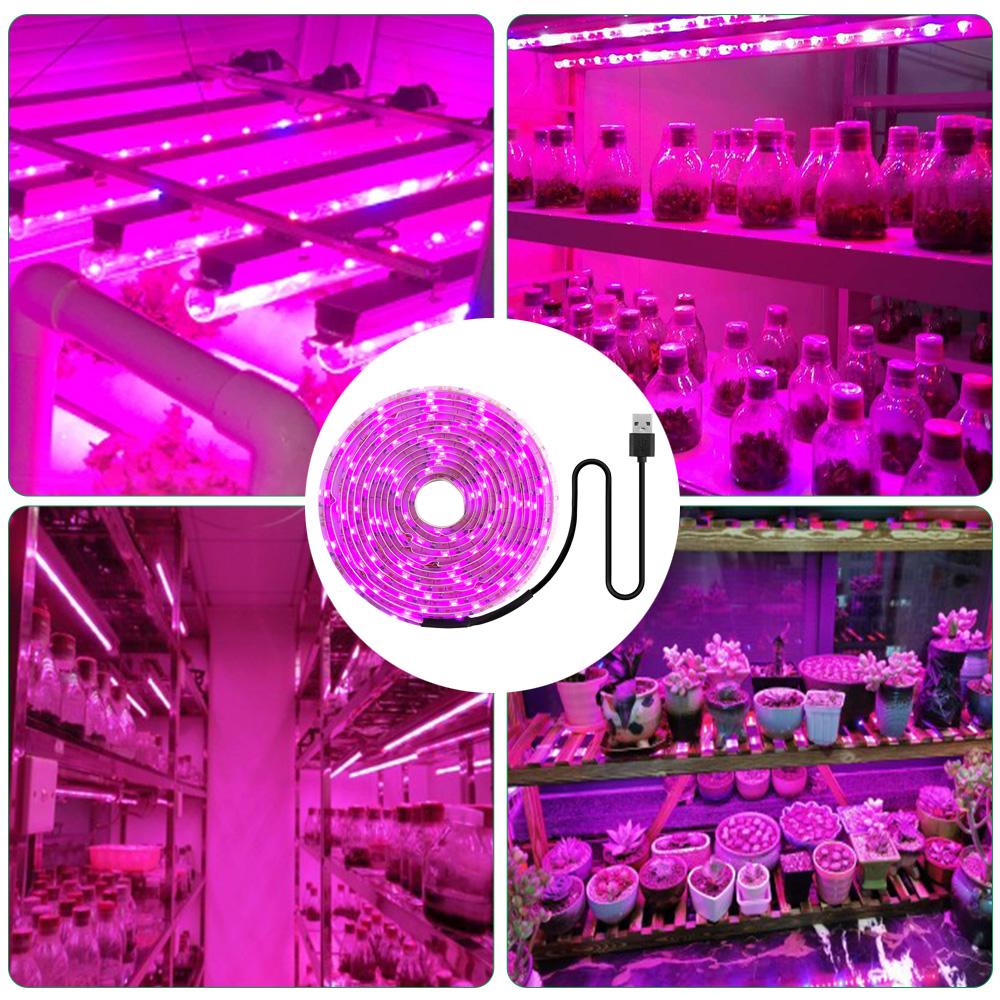 LED Pflanzenlampe Vollspektrum 5V USB Pflanzenlichtleiste LED Phyto Lampen für Pflanzen Gewächshaus Hydroponische Wachstumslampe 1M 2M 3M