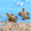 2Pcs Mini Sea Turtle Model Resin Turtle Figurines Fish Tank Miniature Decor