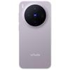 Vivo X300 5G AI Smartphone (CN Version)