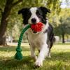 Jouet pour chien en peluche rose avec couineur, jouet à mâcher interactif pour petits et moyens chiens, peluche douce en forme de fleur.