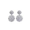 Elegant Zircon-Studded Flower Earrings with S925 Silver Posts – Versatile Luxury Ear Accessories for Women