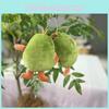 Cute Avocado Plush Doll Keychain Soft Toy With Silver And Gold Chains Ideal For Gifts