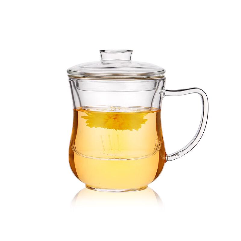 Borosilicate Glass Tea Mug with Infuser Filter (350ml)
