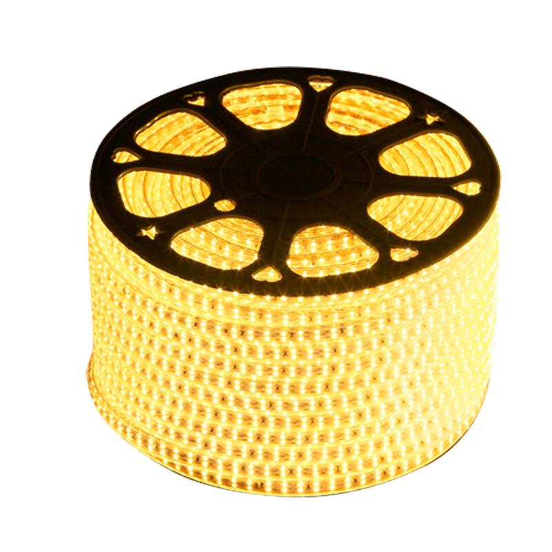 Rongsong Outdoor Waterproof Flexible LED Neon Strip Light