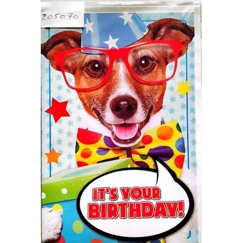 Gemma International ItÂ´s Your Birthday! Dog Greetings Card