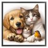 Vollstickerei Öko-Baumwollgarn 11CT Gedrucktes Katzen-Hunde-Kreuzstich-Set 40x40cm