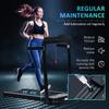 Folding Treadmill, 1.85HP Installation-Free Walking Jogging Running Machine, 12KM/H with 12 Pre-Programs and LED Display for Home Gym Office