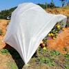 Winter Plant Cold Protection Cover Non-woven Fabric Plant Tree Shrub Cover with Drawstring Yard Garden Frost Prevention Cover