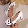 Fashion French High-End Metal Buckle Elegant Square Head Thick Heel Women's Summer New Vintage Fashion Single Shoes Zapatos De Mujer