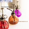 Retro Pumpkin Glass Sprayer for Succulents and Bonsai