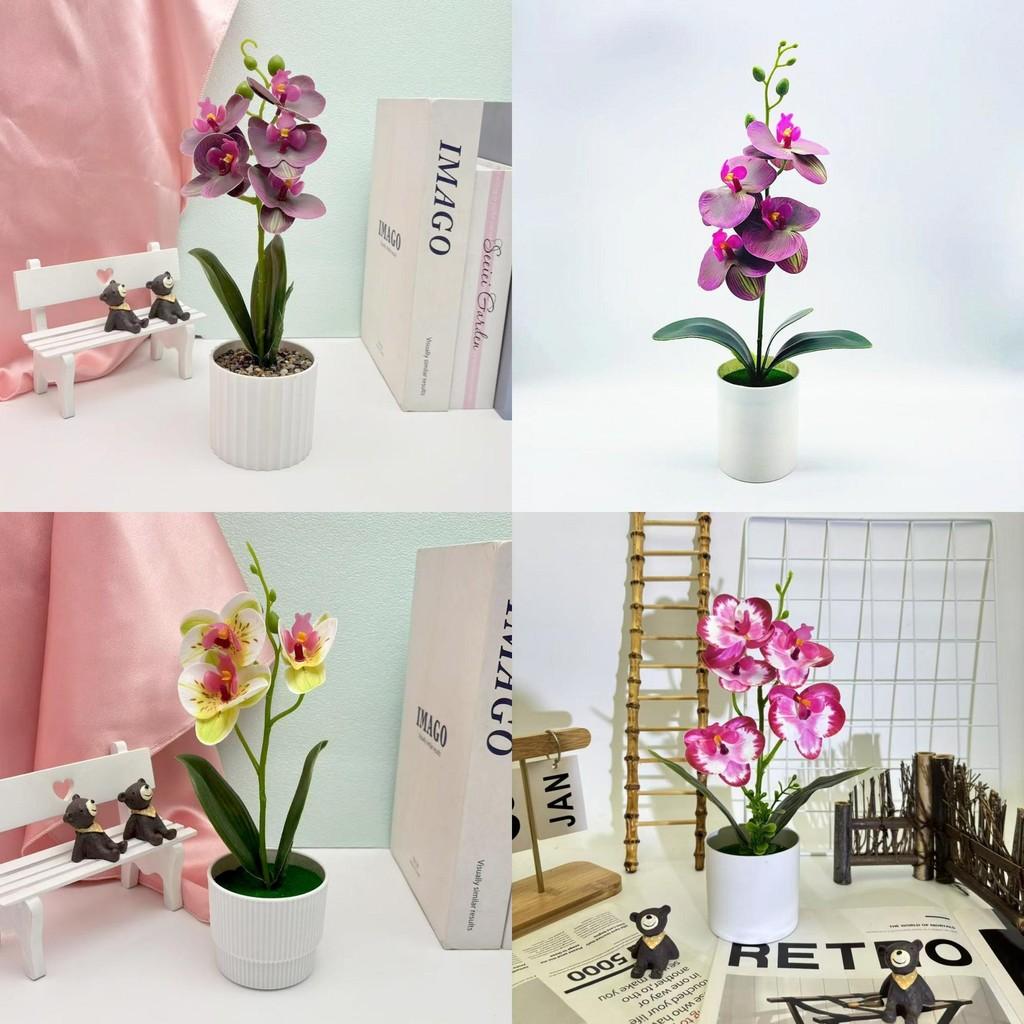 Butterfly Orchid Artificial Plant With 3d Printing For Home Decor And Photography Props