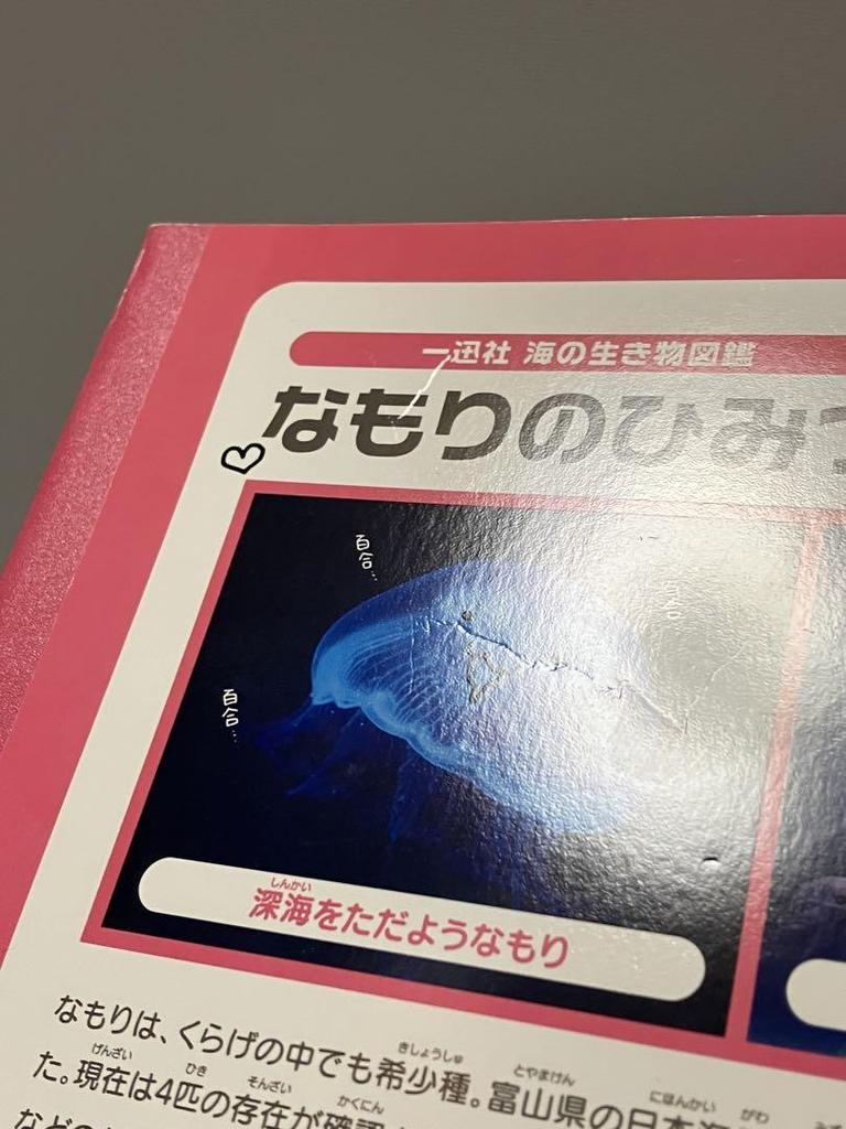 [USED] Namori Art Collection Yuru Namori (Illustration Collection)