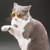 Fashion Lovely For Small Dog Cat Decoration Reflection Eye Wear Photos Props Sunglasses Pet Glasses