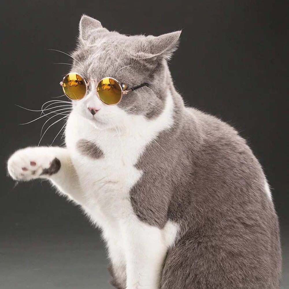 Fashion Lovely For Small Dog Cat Decoration Reflection Eye Wear Photos Props Sunglasses Pet Glasses