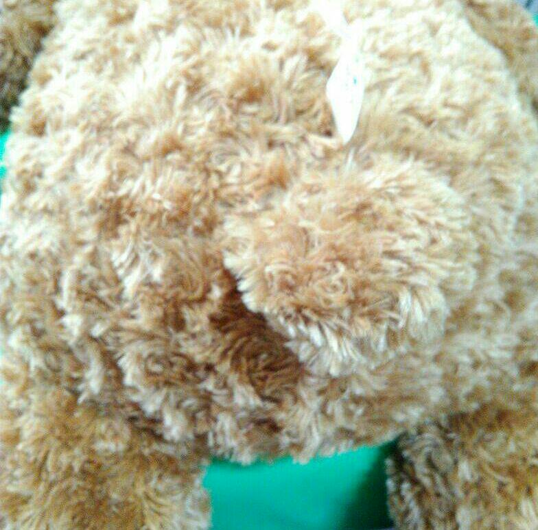 [USED] Extra Large Teddy Bear Plush Toy