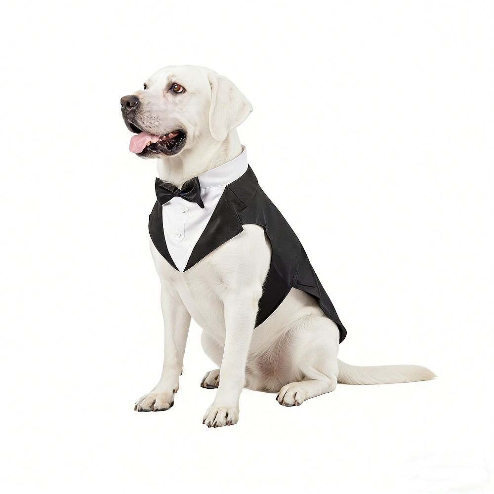 Black/Stripes Dog Tuxedo Costume Detachable Design Large Dog Costume Set Autumn Season