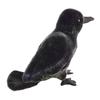 Cute And Creative Crow Dolls Add More Natural Atmosphere To Your Life