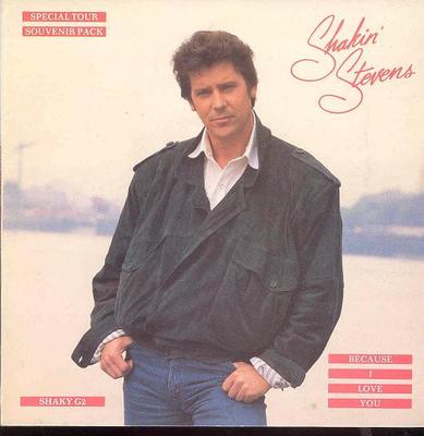 7inch Record SHAKIN' STEVENS - Because I Love You SHAKYG2 Epic 1986 UK Rock Used