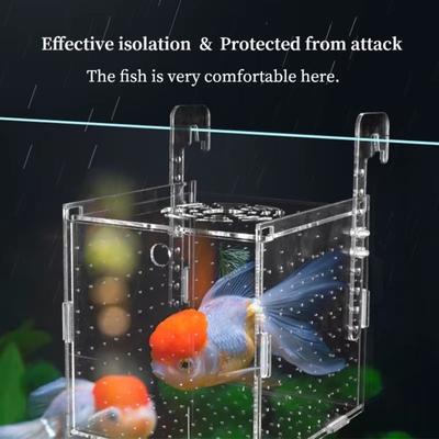 1PC Small Fry Aquarium Isolation Box Spawning Hatching Hatchery Divider Breeder Hatching Incubator Transparent Acrylic