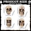 Mini Skull Figurine Miniature Skeleton Head Table Decor Micro Landscape Figure Halloween Prank Props Haunted Dollhouse Decor