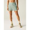 Шорты Dare2b Nimble 2-in-1 Wandershorts (DWJ644) glacier green/almond milk