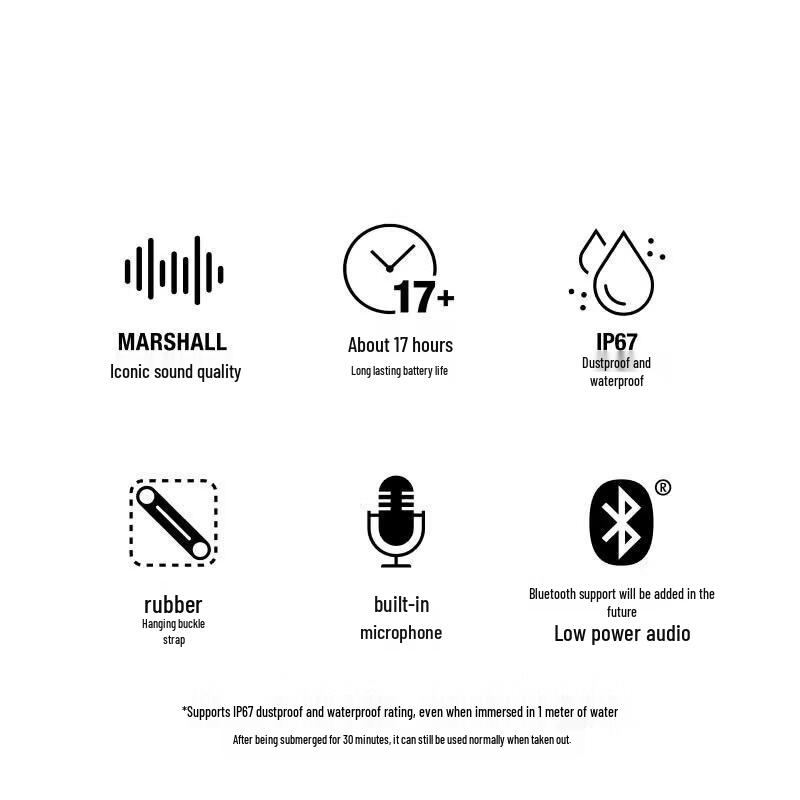Marshall Willen II Portable Bluetooth Speaker (CN version)
