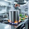 22L Stainless Steel Pot Large 30.5 Cm With Cooking Lid Silver