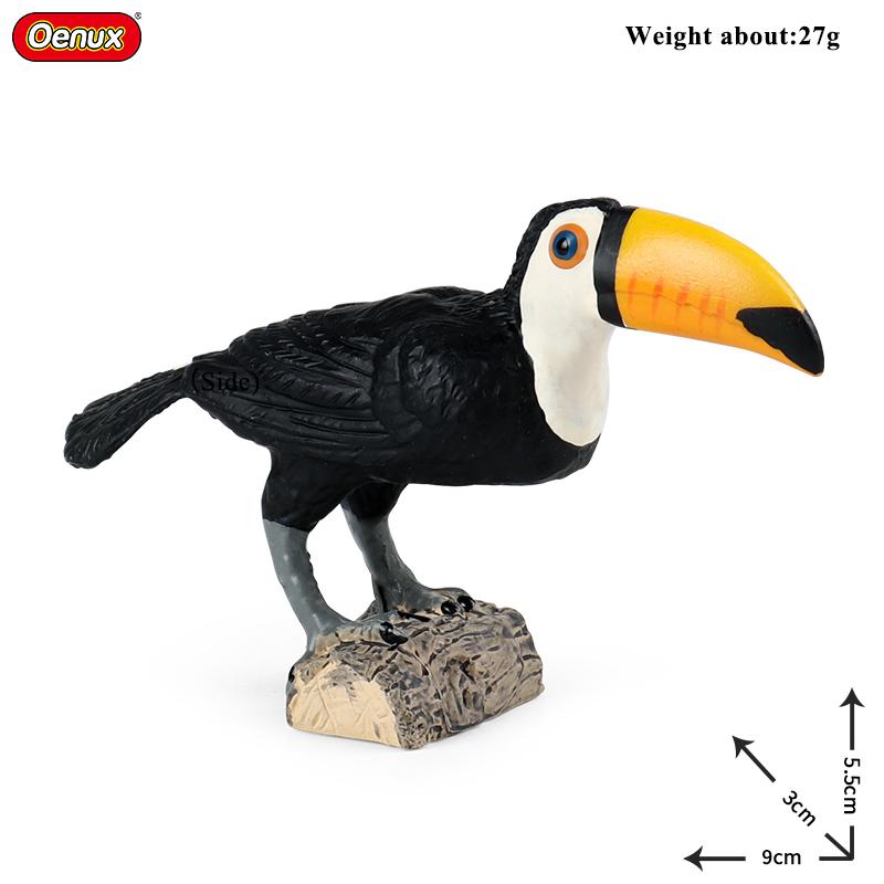 Oenux Garden Bird Figurines Snowy Owl Toucan Bucerotidae Animals Model PVC Action Figures Collection Toys For Kids Birthday Gift
