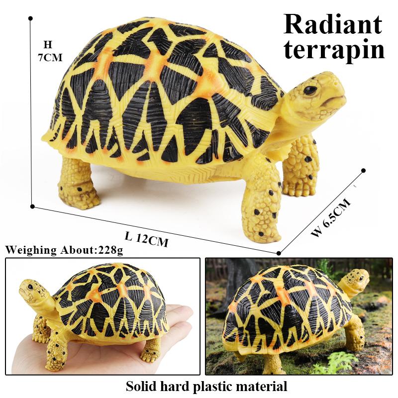 Oenux Sea Life Animals Model Leatherback Tortoise Turtle Growth Cycle Ocean Figurines Action Figures PVC Collection Kid Toy Gift