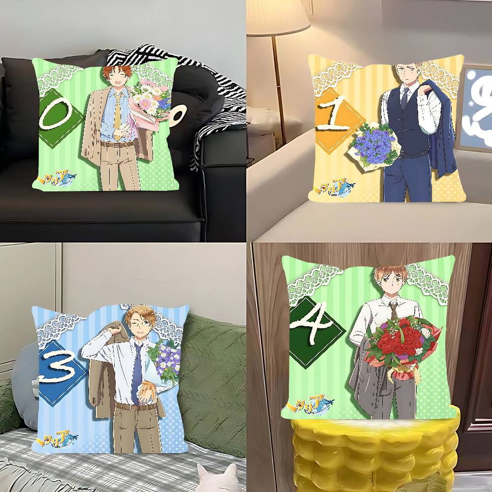 Povlak na polštář Hetalia World Stars, snímatelný a pratelný povlak na polštář – měkký len pro všechny roční období