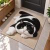 Realistic Bathroom Carpet Diatomaceous Earth Bedroom Door Rug Cute 3D Cat Floor Mat  Home Decor