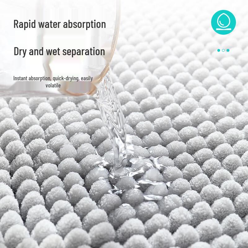 Dajiang Absorbent Bathroom Floor Mat