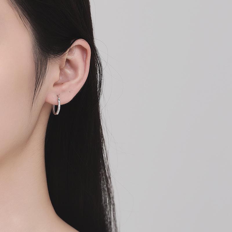 Large Circle Earrings, Fashionable And Light Luxury Temperament, Earrings, High-End Earrings, Earrings