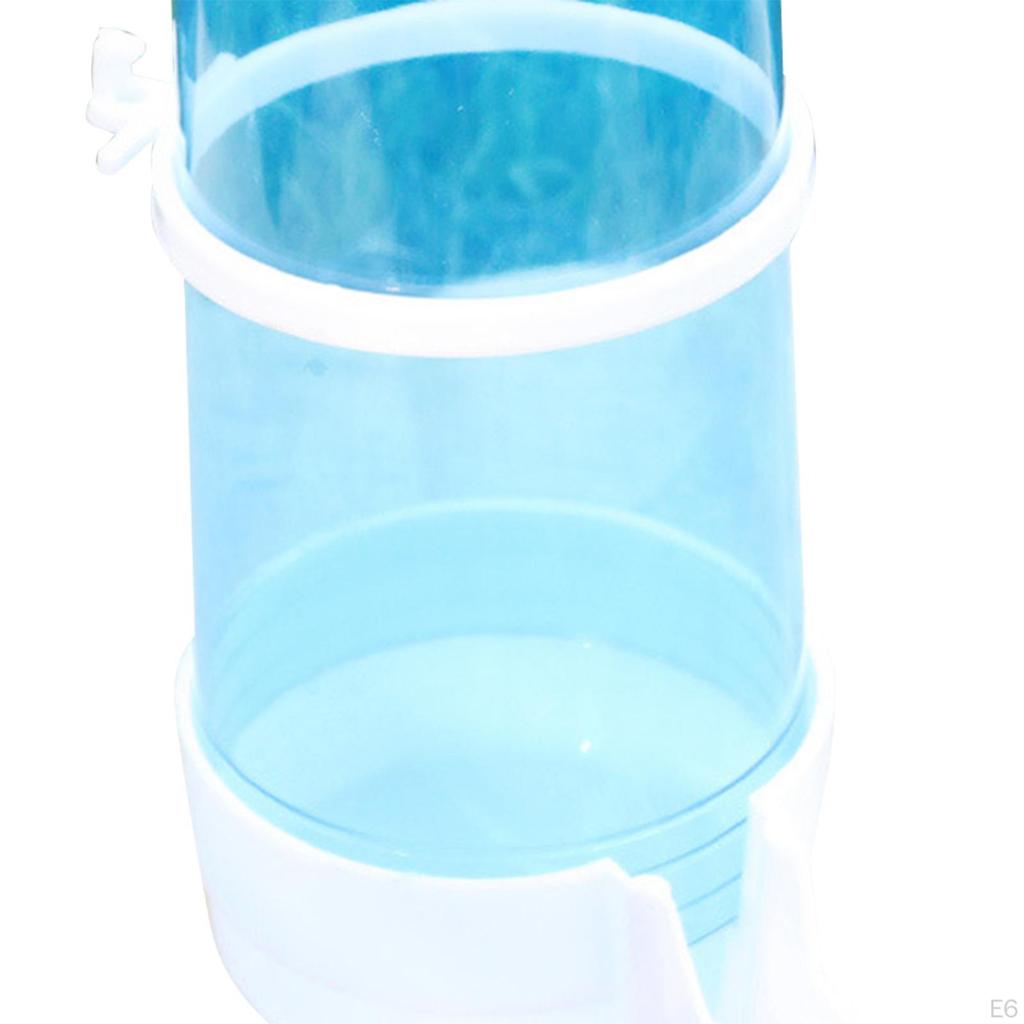 Bird Feeder Food Dispenser Viewing Clear Bowl Small Animal for Canary Finch