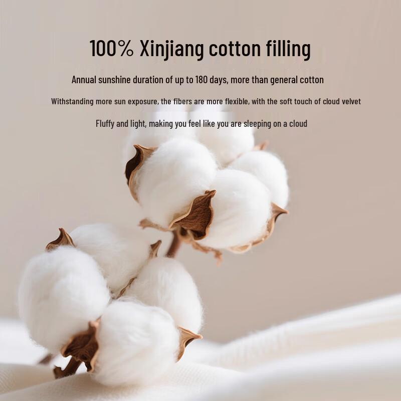 Yalu 100% Xinjiang Cotton Spring/Autumn Quilt