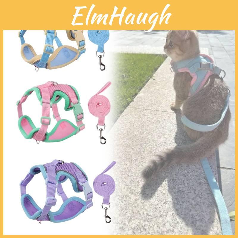 Klassische Colorblock-Haustierleine mit doppellagigem Netzstoff für Katzen und zum Verschenken