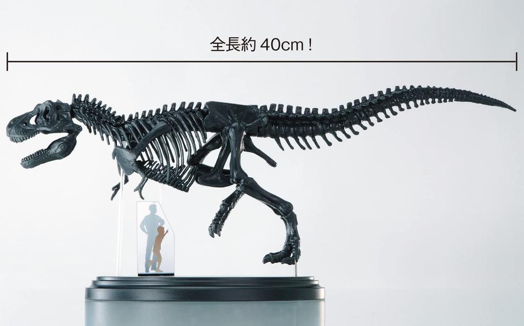 Gakken Tyrannosaurus Scale Skeleton Model Kit Poster 6 and Q750763 1/35 & Life-Size (Ages Up)