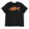 Coral Trout T-Shirt T-shirts Oversize Topping Vintage Tee Shirts for Men
