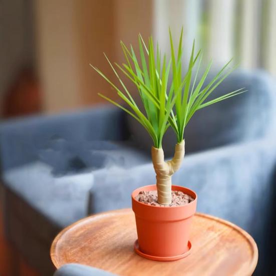 Ozdoba Dračí strom s koštětem, odpadkovým košem, lopatkou, odnímatelné čisticí nástroje, bezprašné