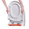 TLXT O-Type One-Key Thickened Toilet Seat Cover