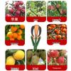Jundingying Telescopic Fruit Picker (3-Claw)