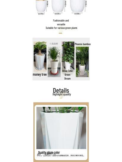 Large Light Luxury Ceramic Flower Pot for Floor or Table, XL Diameter, Album Style for Green Plants & Silk Flowers